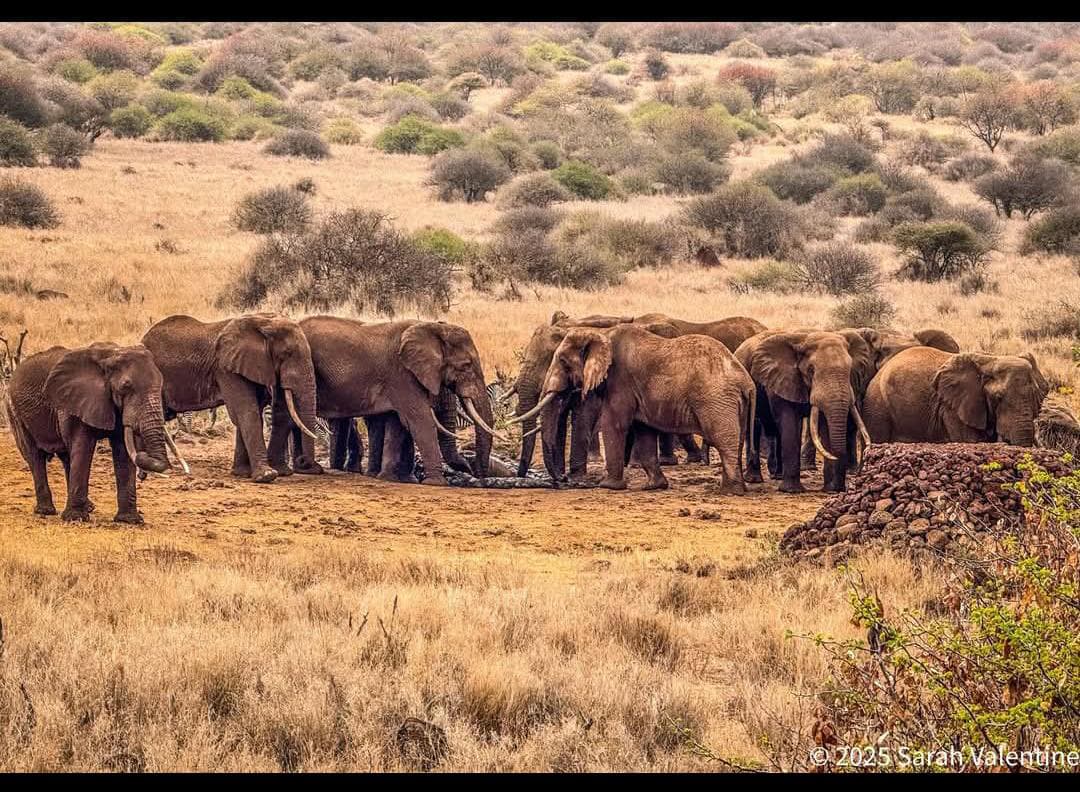 Mayson Travels - City Tours